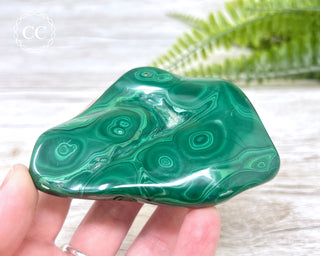 Malachite Polished Freeform #5