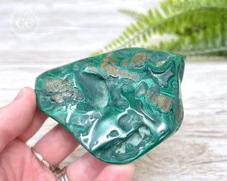 Malachite Polished Freeform #5