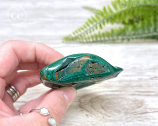 Malachite Polished Freeform #5