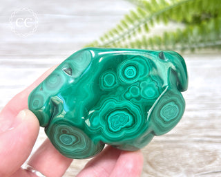 Malachite Polished Freeform #6