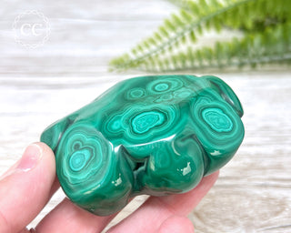 Malachite Polished Freeform #6