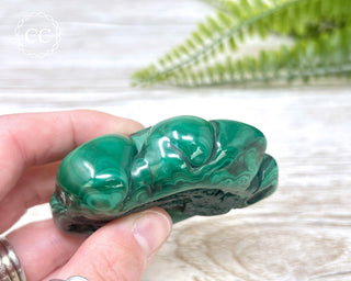 Malachite Polished Freeform #6