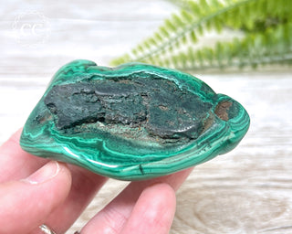 Malachite Polished Freeform #6