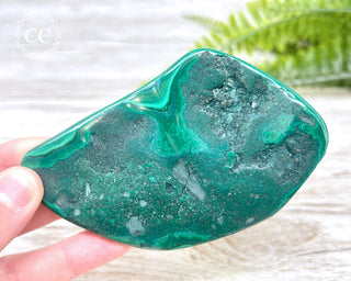 Malachite Polished Freeform #1