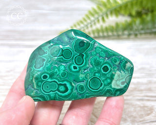 Malachite Polished Freeform #7
