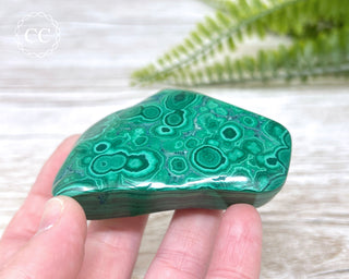 Malachite Polished Freeform #7