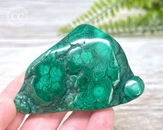 Malachite Polished Freeform #8