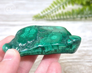 Malachite Polished Freeform #8