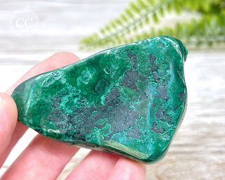 Malachite Polished Freeform #8