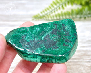 Malachite Polished Freeform #8