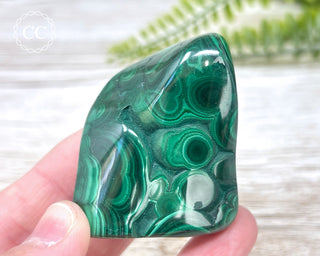 Malachite Polished Freeform #10