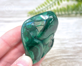 Malachite Polished Freeform #10