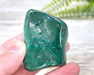 Malachite Polished Freeform #10