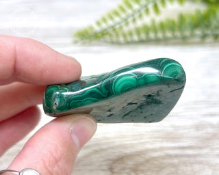 Malachite Polished Freeform #10