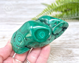 Malachite Polished Freeform #2