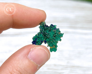 Azurite & Malachite Slice Kazakhstan #2