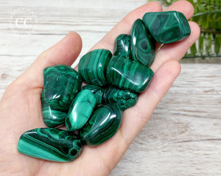Genuine Malachite tumbled crystals in hand