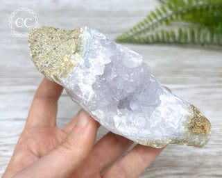 Blue Lace Agate Malawi #3