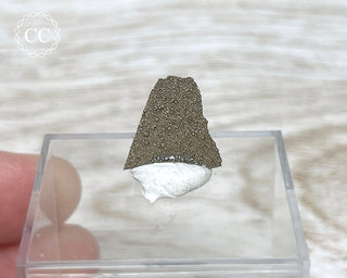 Manganese Specimen #1