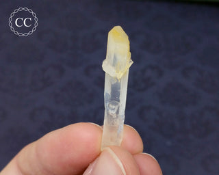 Mango Quartz #11