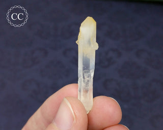 Mango Quartz #11