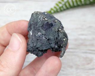 Marcasite & Pyrite Specimen - Peru #13