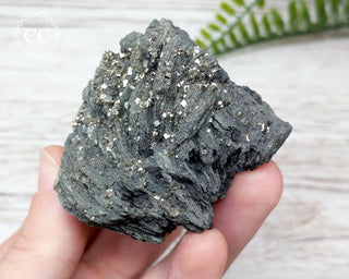 Marcasite & Pyrite Specimen - Peru #2