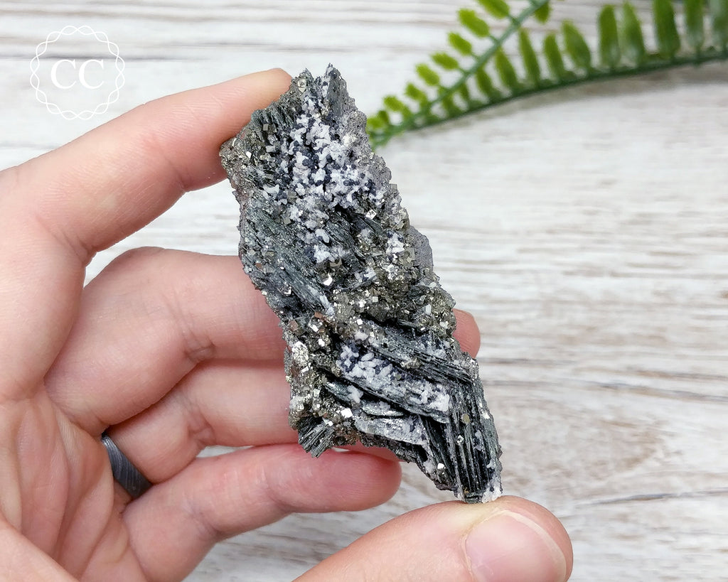 Marcasite Pyrite Specimen Peru #1 – The Citrine Circle