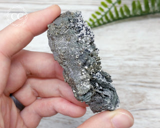Marcasite & Pyrite Specimen - Peru #1