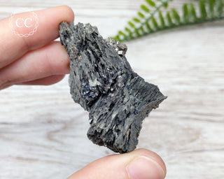 Marcasite & Pyrite Specimen - Peru #11