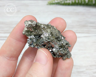 Marcasite Specimen - Morocco #13