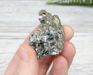 Marcasite Specimen - Morocco #13