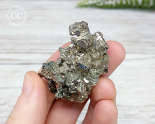 Marcasite Specimen - Morocco #13
