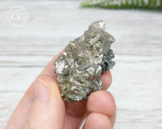 Marcasite Specimen - Morocco #13
