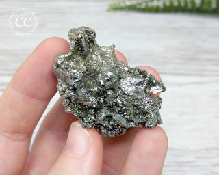 Marcasite Specimen - Morocco #13
