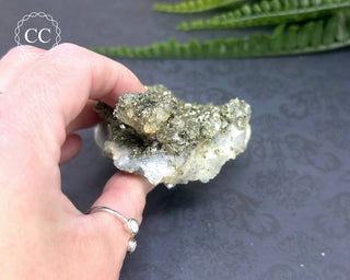 Marcasite and Pyrite Specimen #3