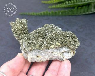 Marcasite and Pyrite Specimen #3