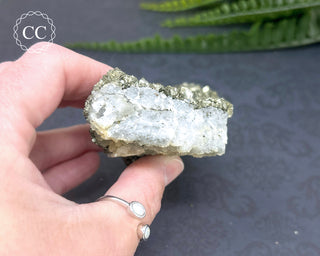 Marcasite and Pyrite Specimen #4