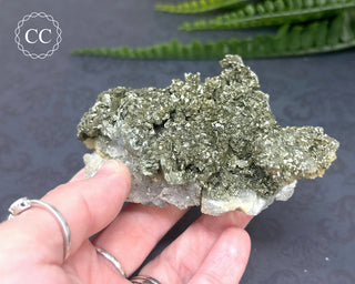 Marcasite and Pyrite Specimen #3