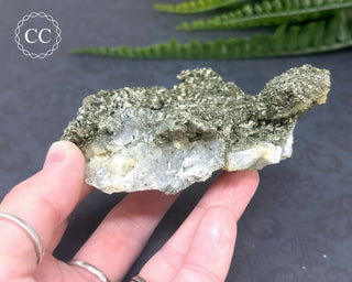 Marcasite and Pyrite Specimen #3