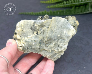 Marcasite and Pyrite Specimen #3