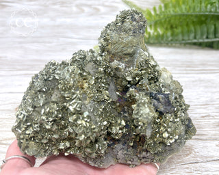 Marcasite & Pyrite Specimen #7