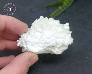 Mexican Celestite & Aragonite/Calcite Specimen #7