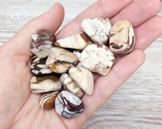 Mocha Stone Tumbled Crystals in hand