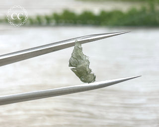 Moldavite #16