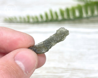 Moldavite #10