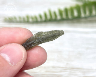 Moldavite #10
