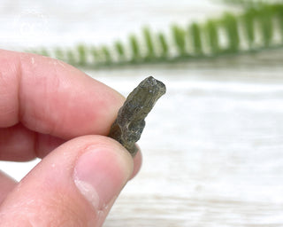 Moldavite #10