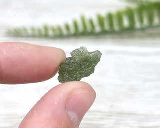 Moldavite #11
