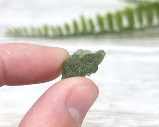 Moldavite #11